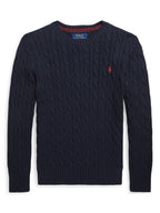 Ralph Lauren Sweaters Blue - 36M