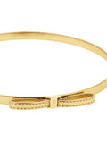 Salvatore Ferragamo Accessories Golden