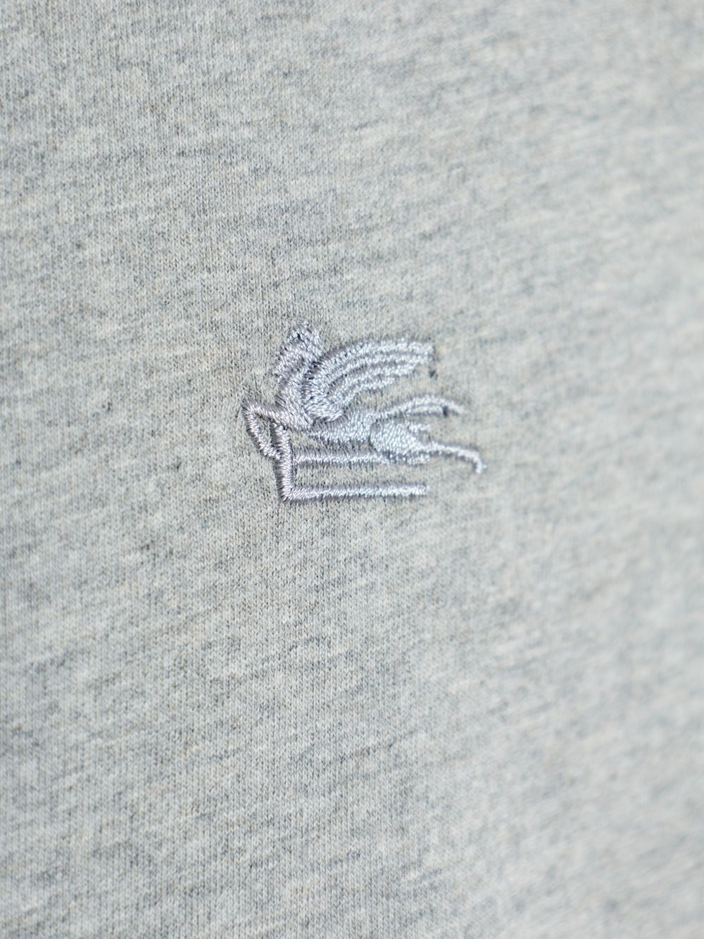 Etro T-Shirts And Polos