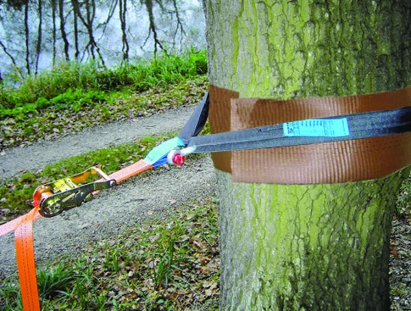Slackstar Protector Arbol