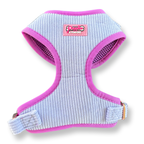 Lavender Blue Luxe Corduroy Harness