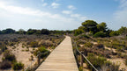 Formentera Boat Trip with Full-Day Meals, Unlimited Drinks and Water Activities