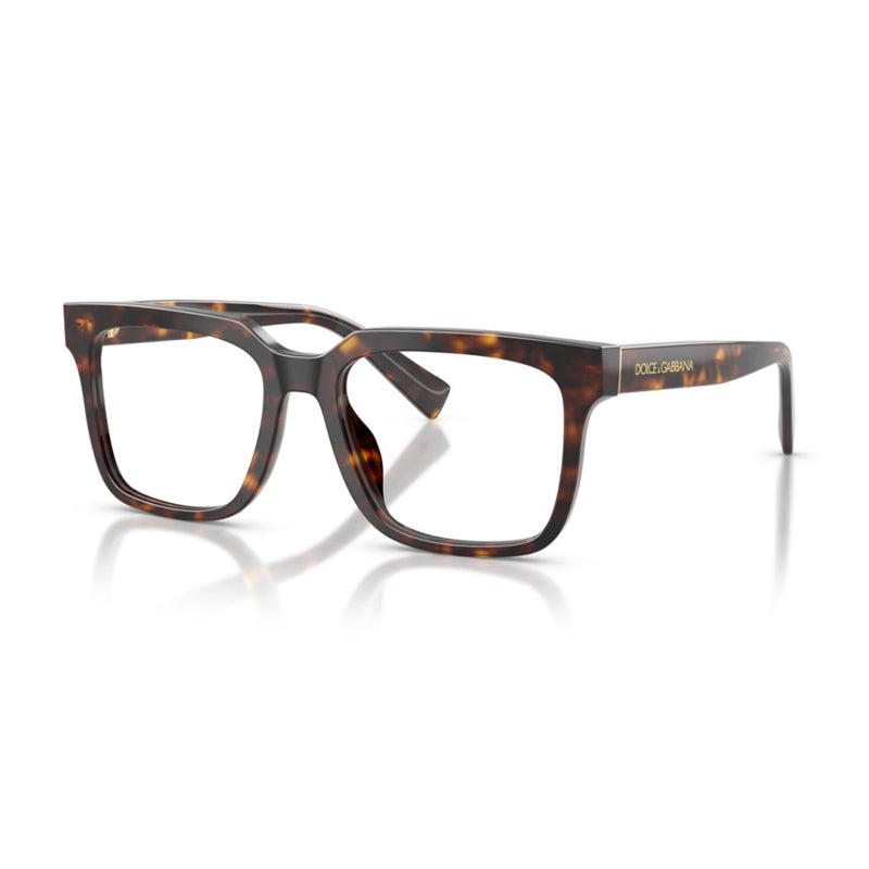 Dolce & Gabbana DG3422502 Tortoiseshell Acetate Eyeglasses — Brown