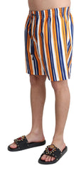 Men's Multicolor Striped Beachwear Swimshorts Polyester Clothing