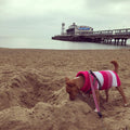 Handmade Pink Candy Stripe Crochet Jumper
