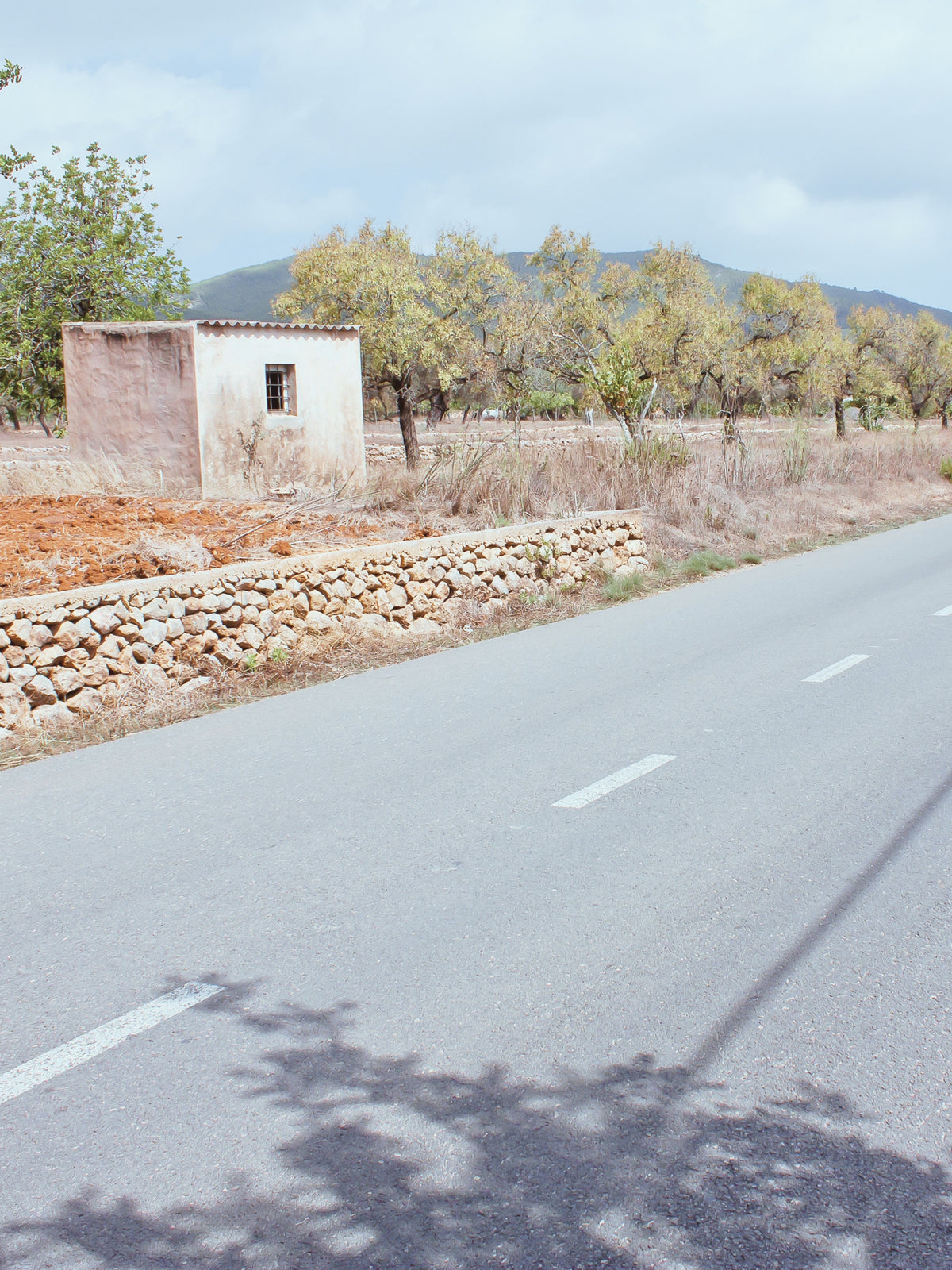 Day 14: Cycling in the Ibiza Countryside
