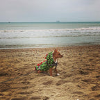 Handmade Dachshund Dinosaur Fluffy Coat