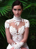 Trumpet/Mermaid High Neck Long Sleeves Lace/Satin Wedding Dresses