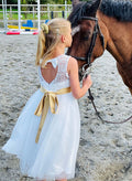 A-Line Illusion Neck Sleeveless Tea-Length Lace/Tulle Flower Girl Dresses