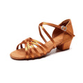 Peep Toe Block Heel Latin Shoes For Women
