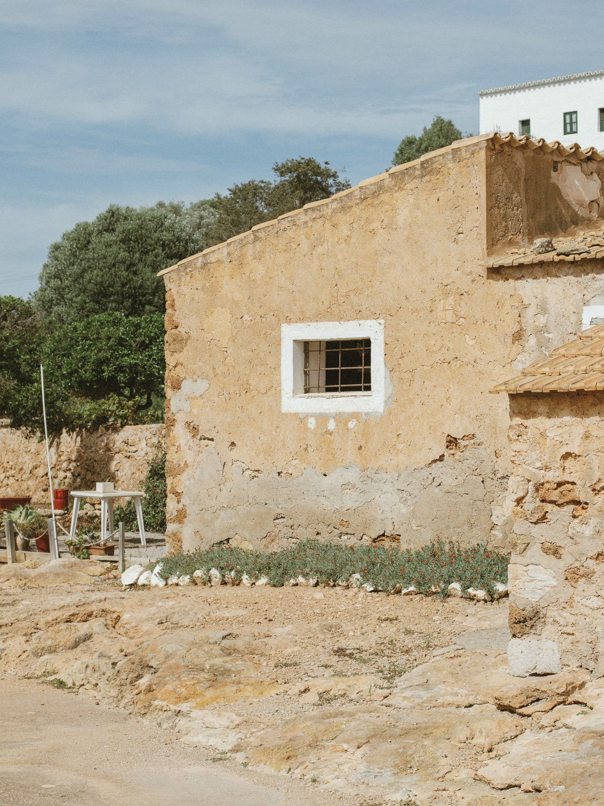 Day 14: Cycling in the Ibiza Countryside