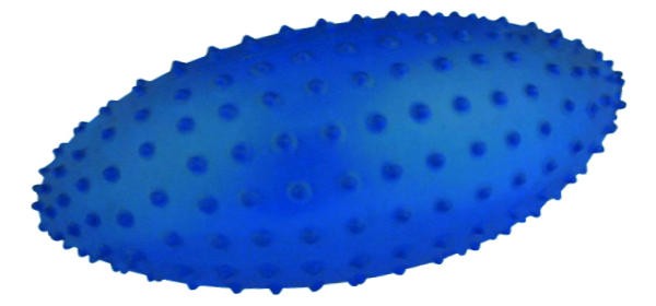Pelota Masaje Rugby