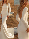 Simple Elegant Long Sleeves Trumpet/Mermaid Open Back Wedding Dresses