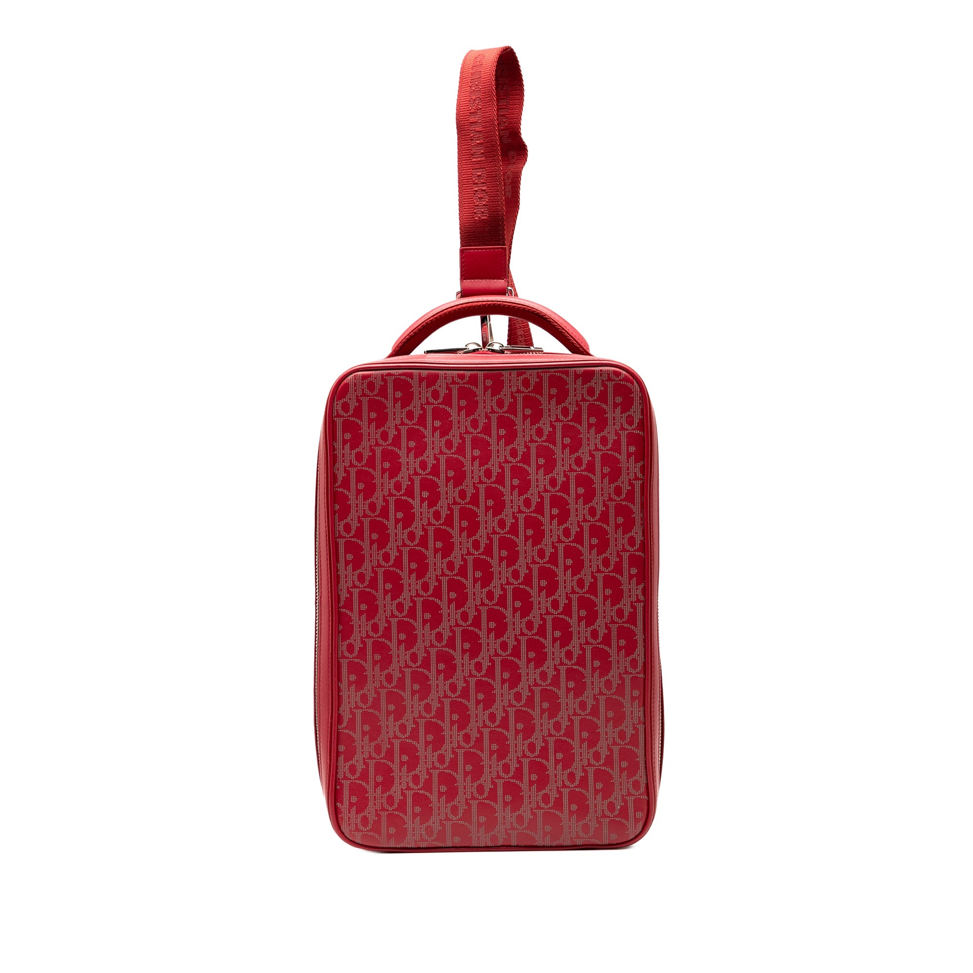 Oblique Perforated Calfskin Galaxy World Tour Shoe Case