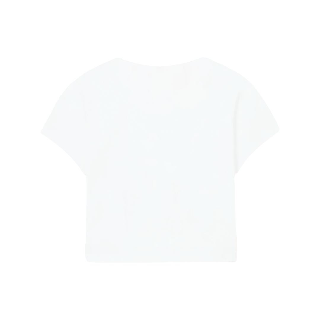 Palm Springs Crop Top