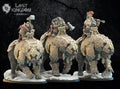 Bjørn Knights, Lost Kingdom Miniatures