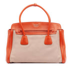 Bicolor Saffiano Cuir Trimmed Canvas Satchel
