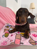 Bee Happy Dachshunds - Handmade Biothane Dog Collar - Powder Pink