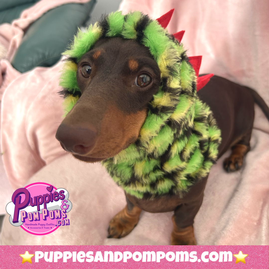 Dinosaur Snood / Buff / Hat