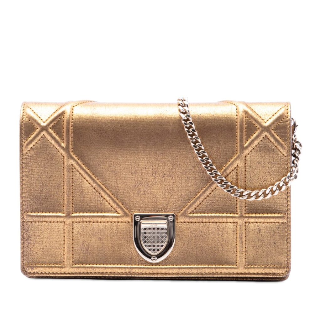 Metallic Calfskin Diorama Wallet on Chain