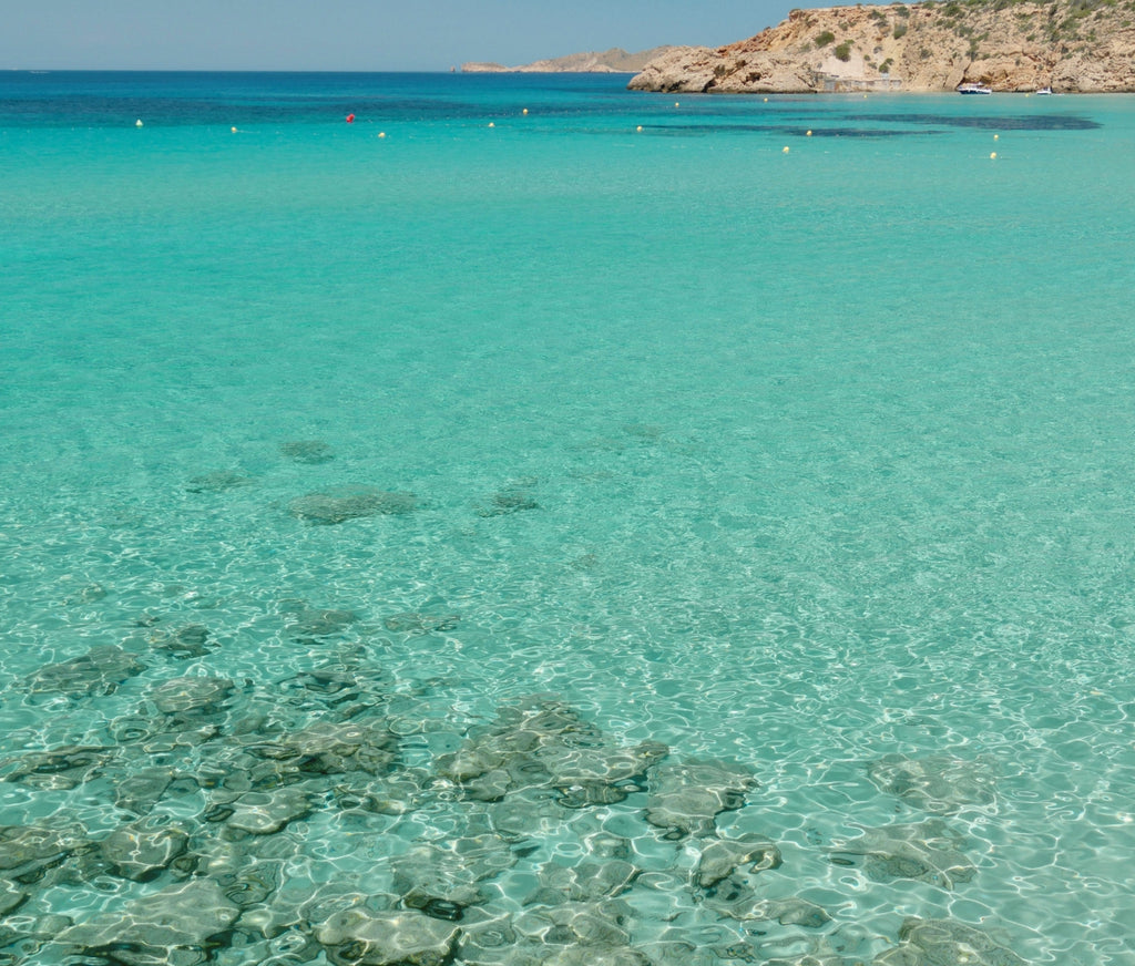 Cala Tarida