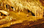 Can Marçá Cave Guided Tour in Puerto de San Miguel