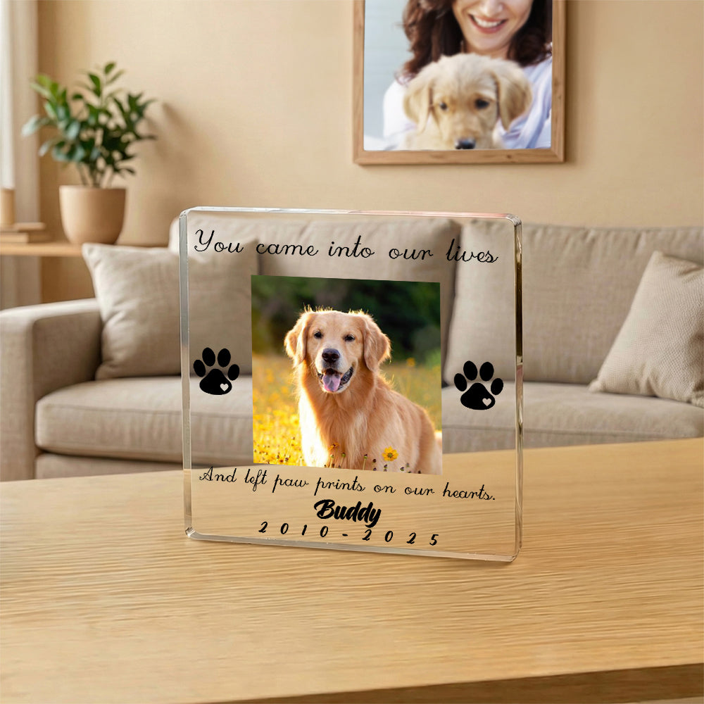 Personalizada Perro Gato Pata Mascota Foto Acrílico Transparente Placa con Nombre y Hora Decoración del Hogar Conmemorativo Pérdida de Mascota Simpatía Regalo para dueños de mascotas