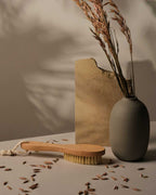 Cepillo Quita Pelo Lint Out Brush
