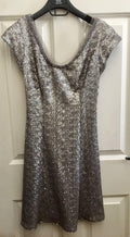 Silver sequin skater dress