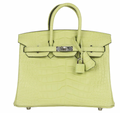 Jaune Bourgeon Birkin 25 cm in Mississippiensis Alligator Matte with Palladium Hardware