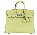 Jaune Bourgeon Birkin 25 cm in Mississippiensis Alligator Matte with Palladium Hardware