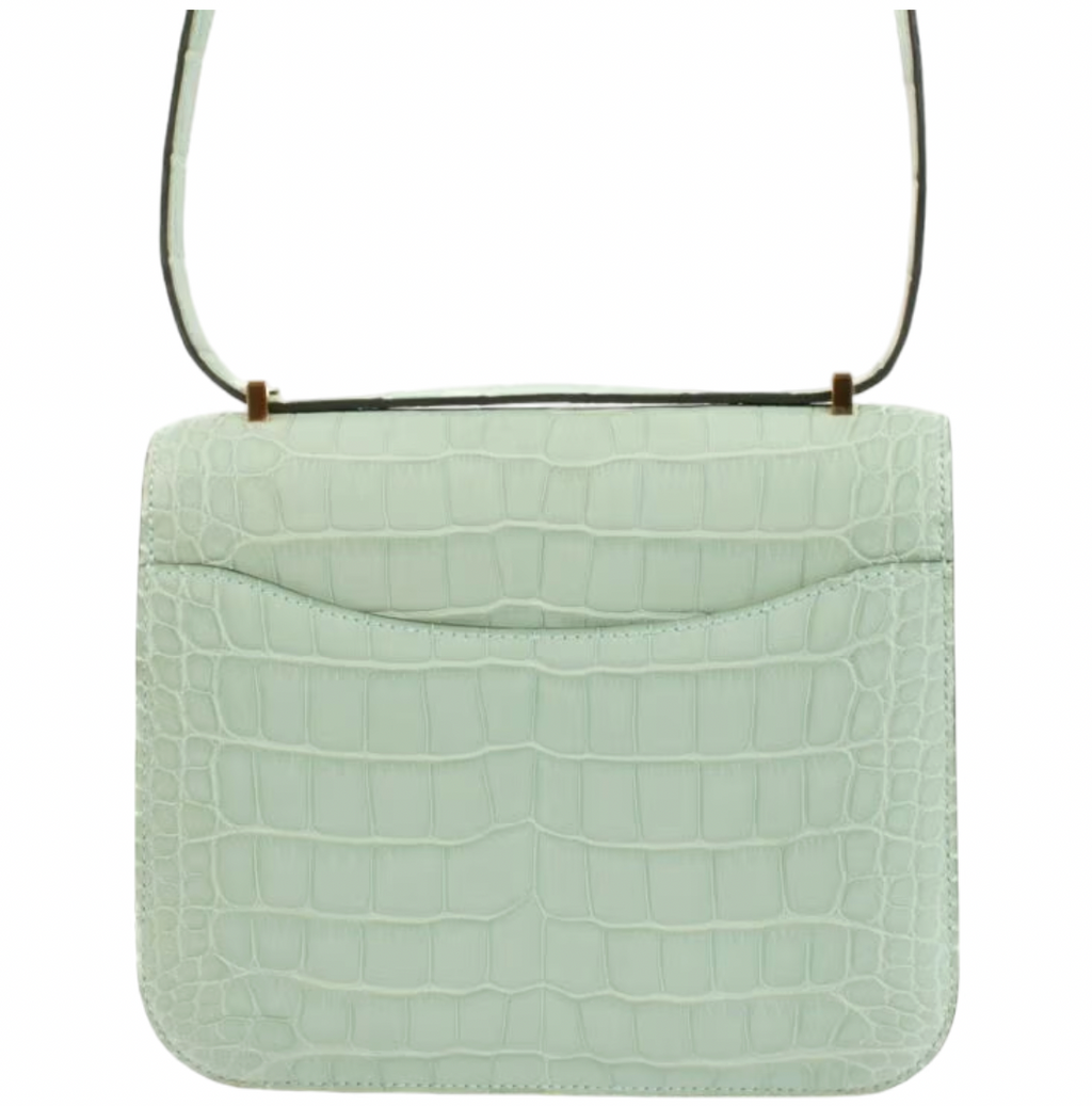 Matte Vert d'Eau Mississipiensis Alligator 18cm Mini Constance with Gold Hardware