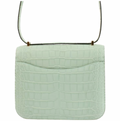 Matte Vert d'Eau Mississipiensis Alligator 18cm Mini Constance with Gold Hardware