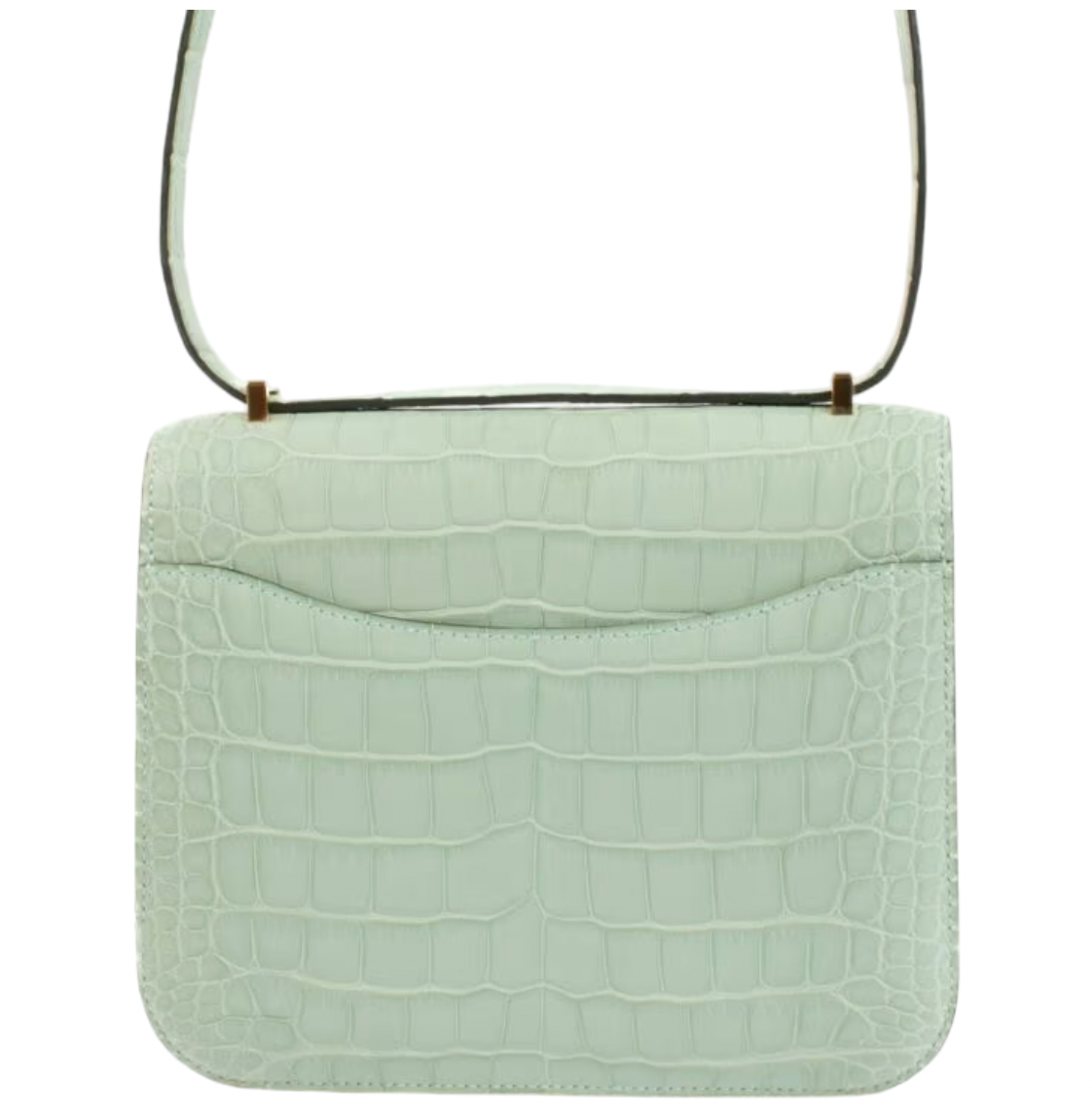 Matte Vert d'Eau Mississipiensis Alligator 18cm Mini Constance with Gold Hardware