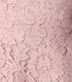 Valentino Scalloped Lace A-line Minidress In Pink