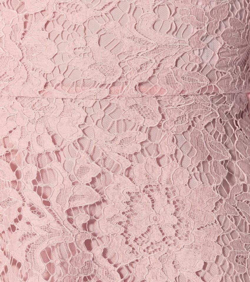 Valentino Scalloped Lace A-line Minidress In Pink