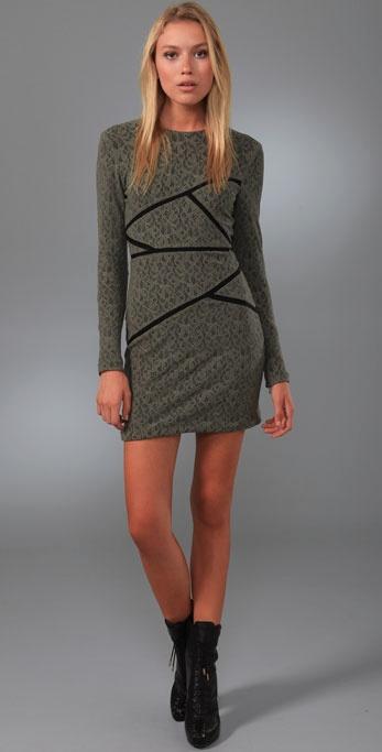 Preen By Thorton Bregazzi  Runway Moss Lace Chelsea Dress