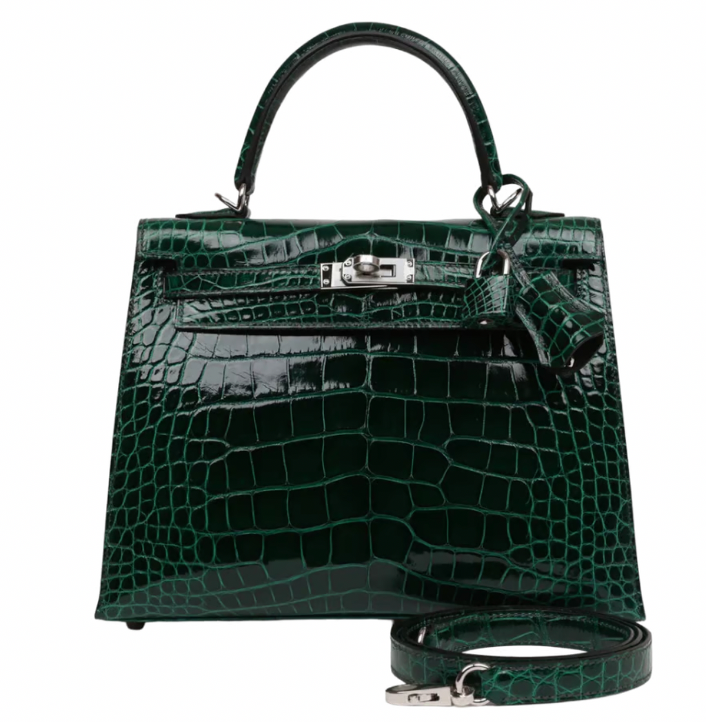 Crocodile Niloticus Lisse Vert Foncé 25cms Kelly with Palladium Hardware