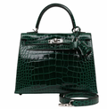 Crocodile Niloticus Lisse Vert Foncé 25cms Kelly with Palladium Hardware