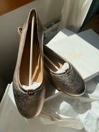 Chloe Metallic Leather Ballet Flats