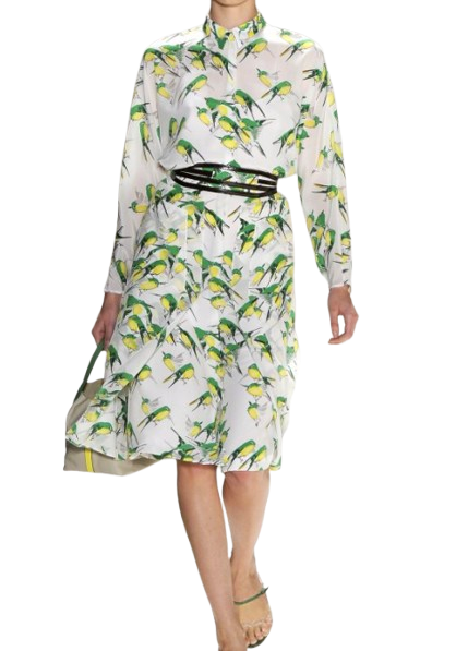 Long Sleeved Belted bird Print Dress