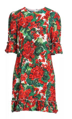 Dolce & Gabbana Floral Geranium Mini Dress