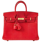 Hermes Birkin Rouge Exotique Niloticus Lizard 25cms