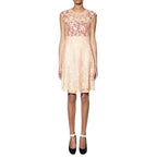 Joseph Nude Lace Detailed Frances Dress