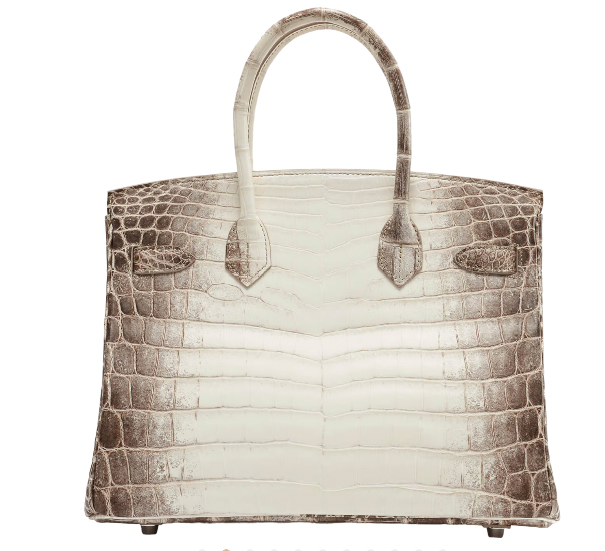 30 cm Crocodile Niloticus Matte Himalaya Birkin Palladium Hardware