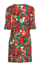 Dolce & Gabbana Floral Geranium Mini Dress