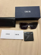 Dior Blue Mask Sunglasses