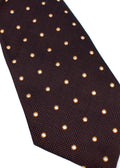 Isaia Navy and Brown Spotted Silk Tie