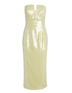 Roland Mouret Sequined Strapless Corset Dress