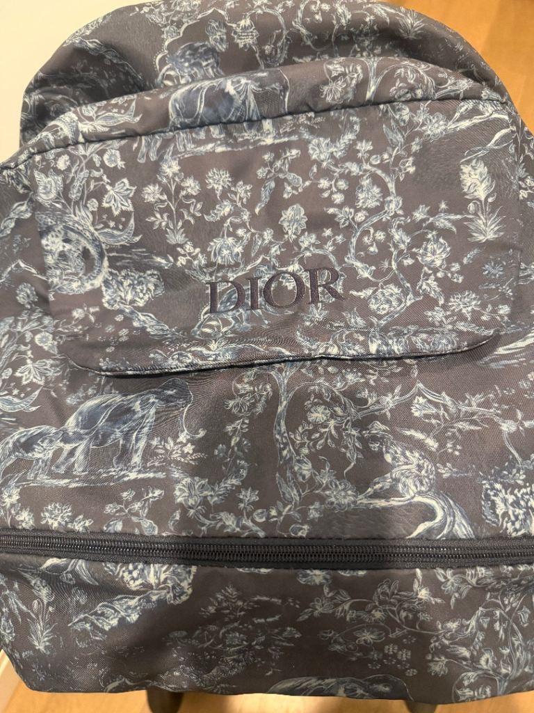 Dior Blue Oblique Dior Baby Stroller